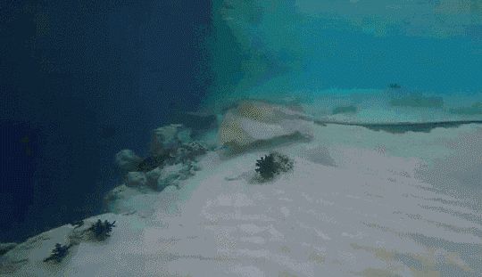 gifs_15