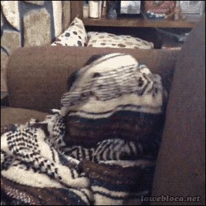 gifs_22