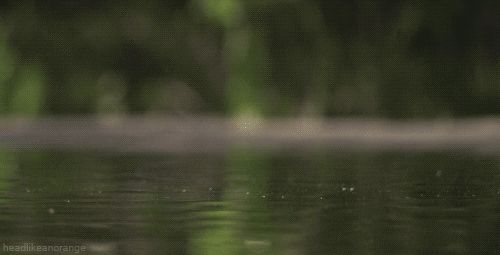 slow_motion_gifs_26