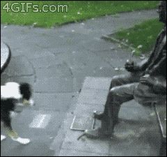 gifs_20