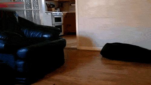 fail_gifs_14