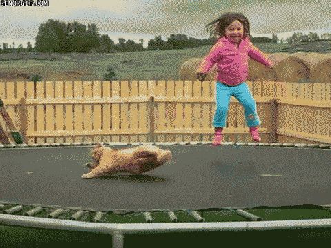 gifs_12