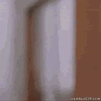 gifs_14