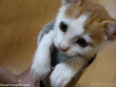 gifs_25